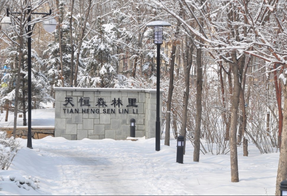 森(sēn)林裏的雪景